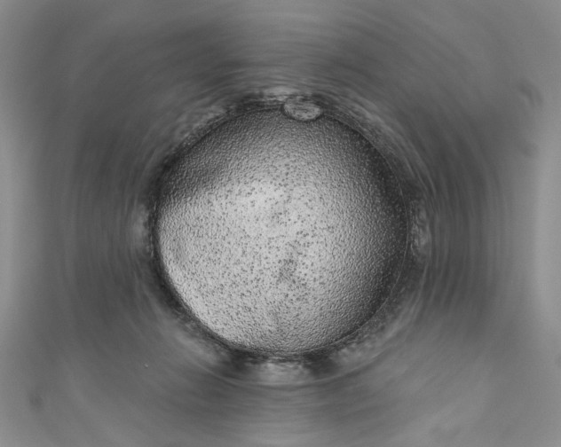 X0000110880270200907021503