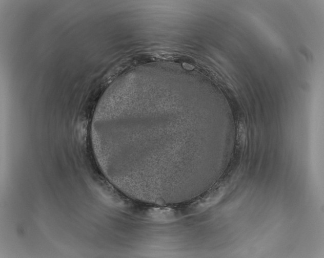 X0000110880271200907021503