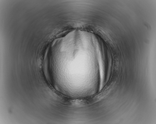 X0000110880273200907021503