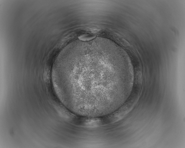 X0000110880274200907021503