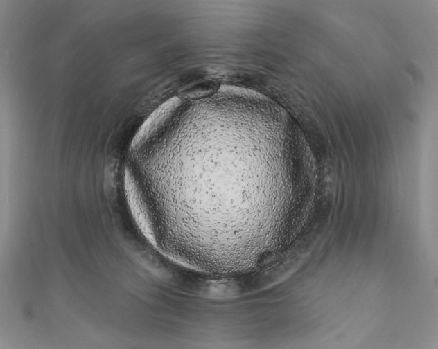 X0000110880275200907021503