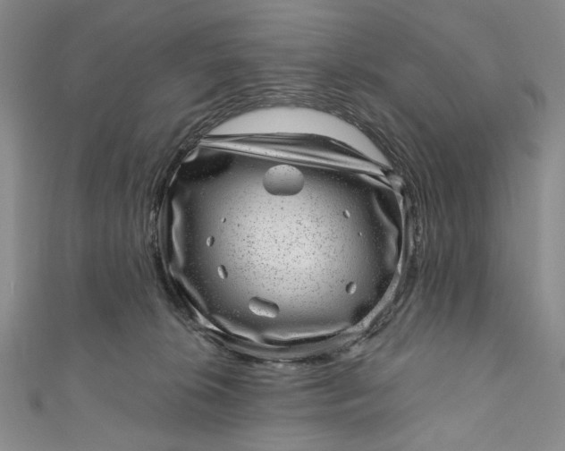 X0000110880276200907021503