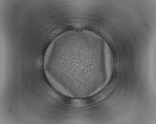 X0000110880277200907021503