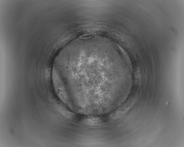 X0000110880278200907021503