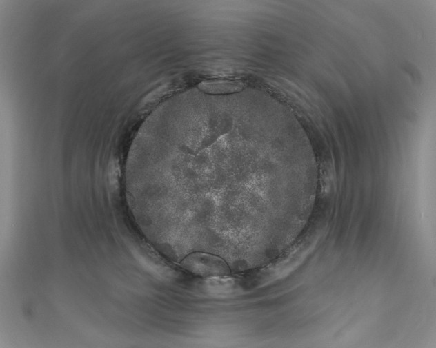 X0000110880279200907021503
