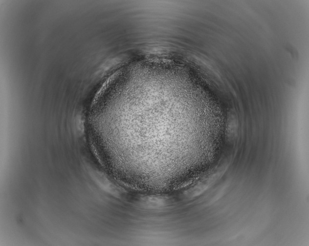 X0000110880282200907021503