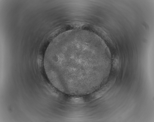X0000110880283200907021503