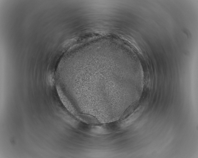 X0000110880285200907021503