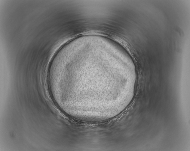 X0000110880289200907021502
