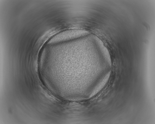 X0000110880290200907021502