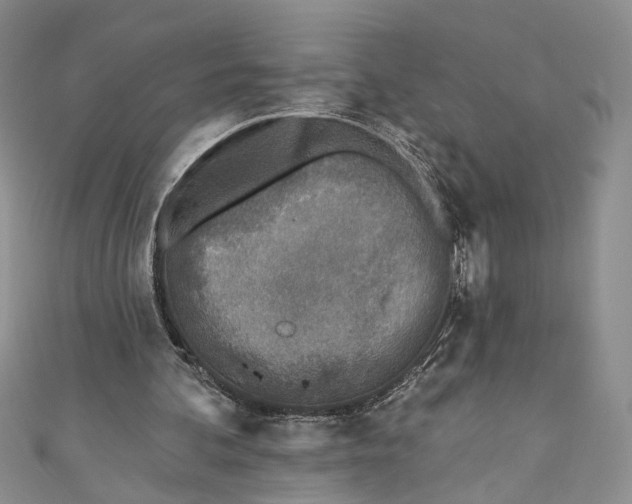 X0000110880292200907021502