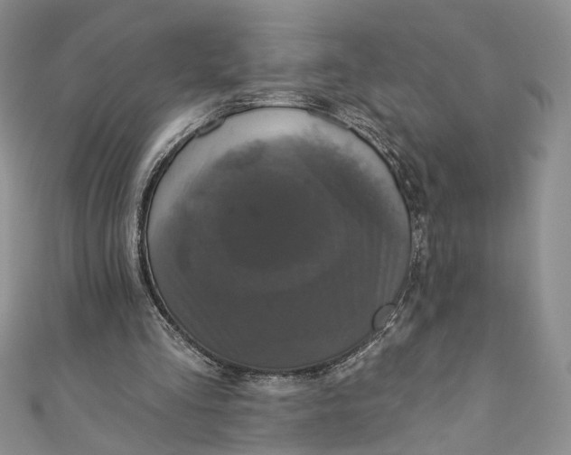 X0000110880293200907021502