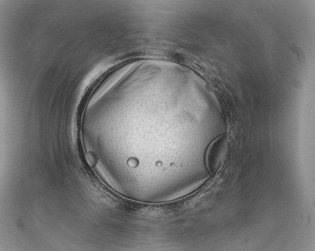 X0000110880294200907021502
