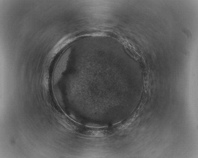 X0000110880295200907021502