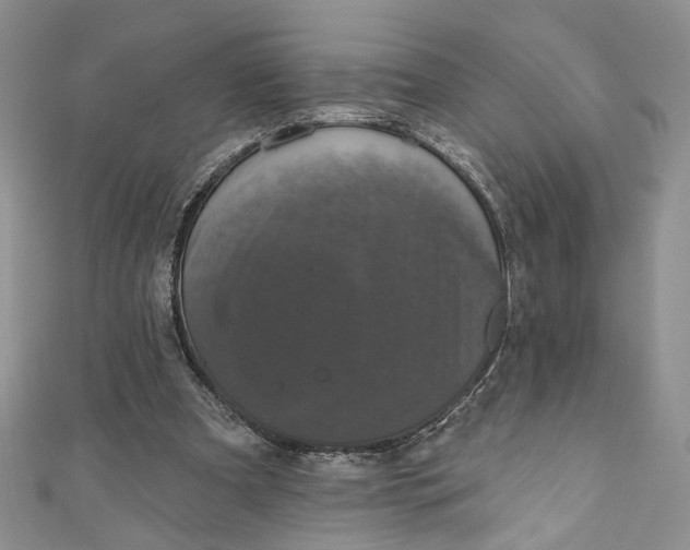 X0000110880297200907021502