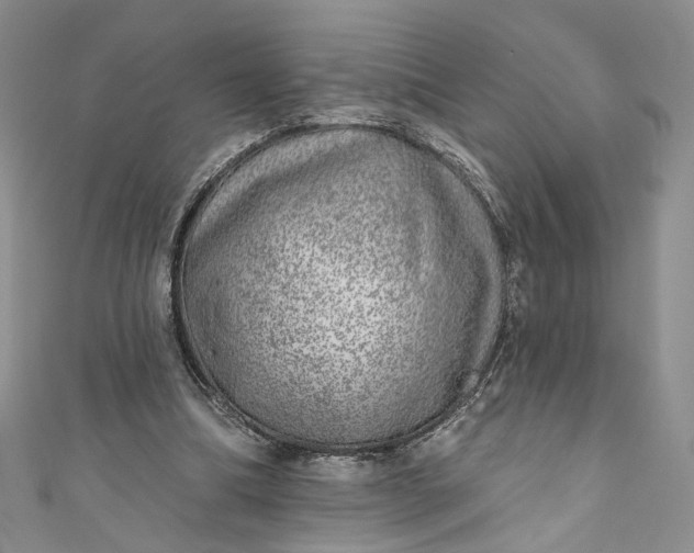 X0000110880298200907021502