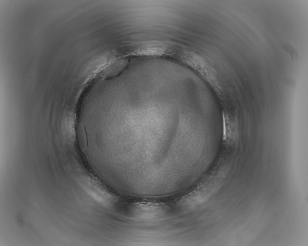 X0000110880300200907021502