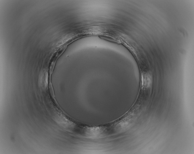X0000110880301200907021502