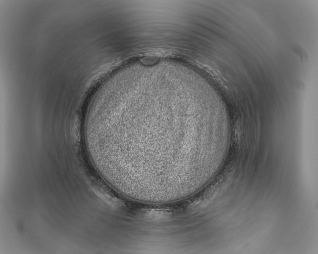 X0000110880303200907021502