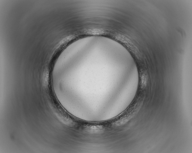 X0000110880304200907021502