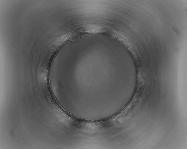 X0000110880305200907021502