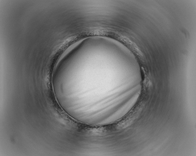 X0000110880306200907021502