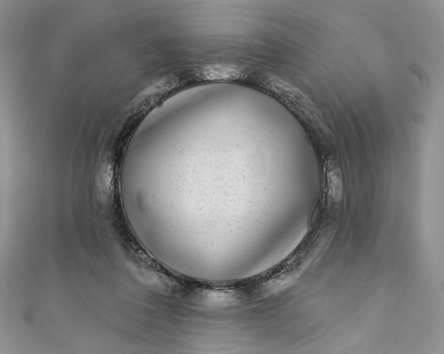 X0000110880308200907021502