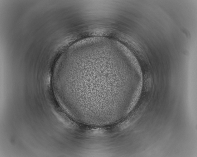 X0000110880310200907021502