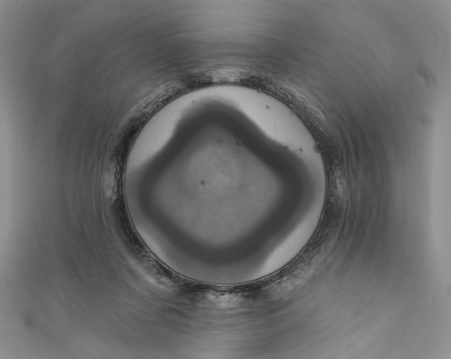 X0000110880311200907021502