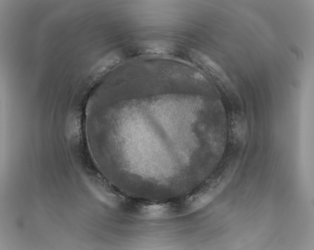 X0000110880312200907021502