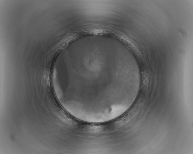 X0000110880313200907021502