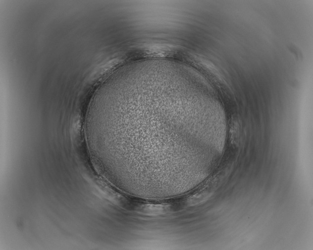 X0000110880314200907021502