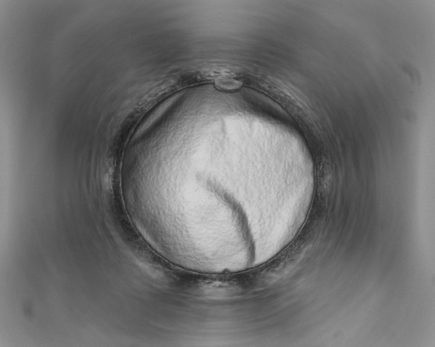 X0000110880315200907021502