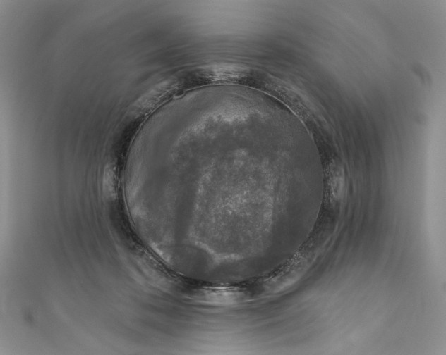 X0000110880316200907021502