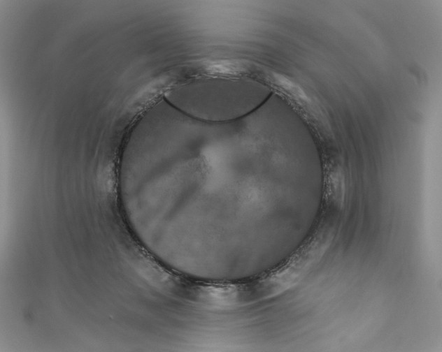 X0000110880317200907021502