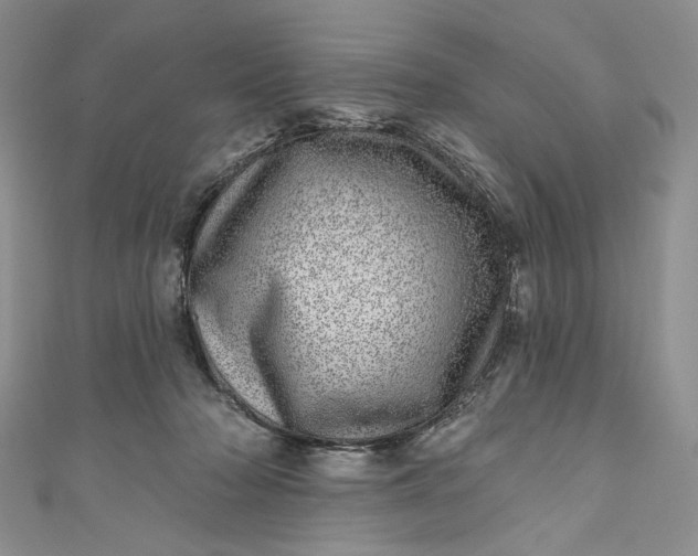 X0000110880318200907021502