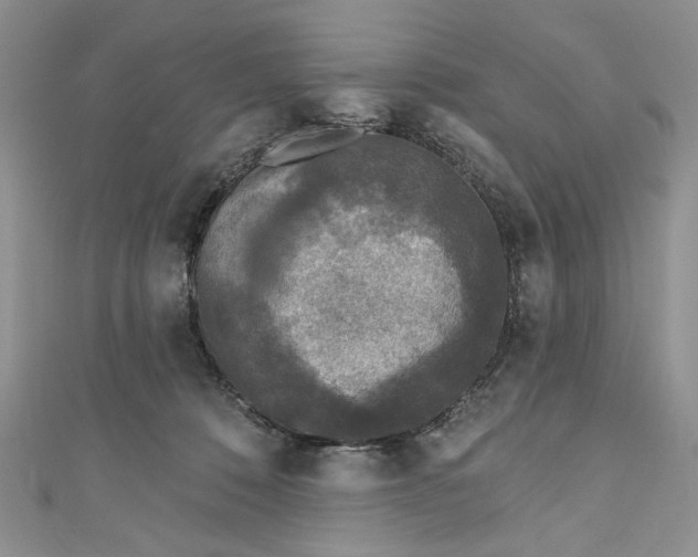 X0000110880320200907021502