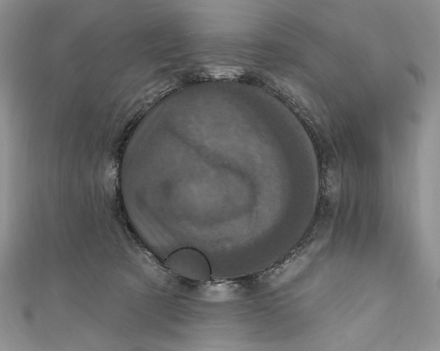X0000110880321200907021502