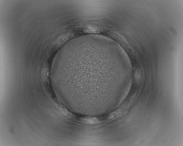 X0000110880322200907021502