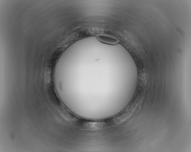 X0000110880323200907021502
