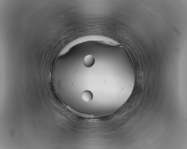 X0000110880324200907021502