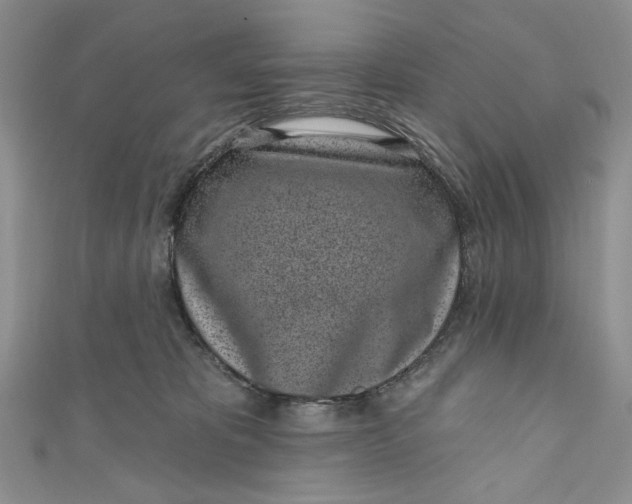 X0000110880325200907021502