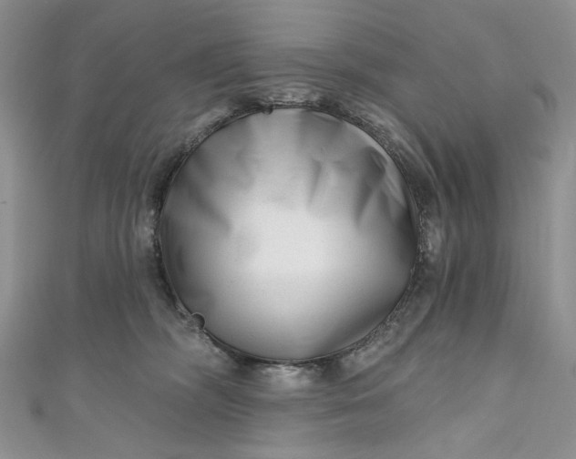 X0000110880326200907021502