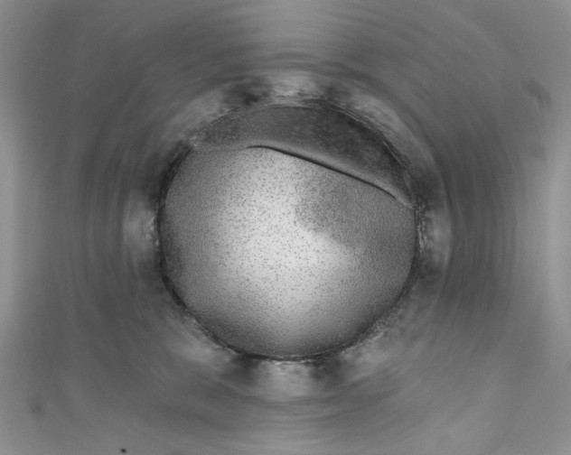 X0000110880327200907021502