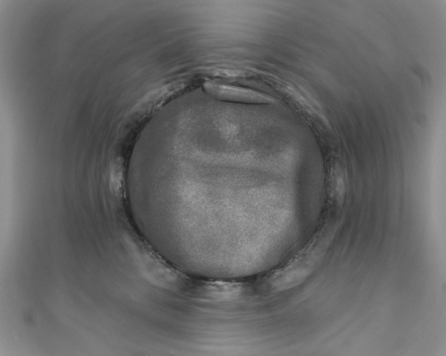 X0000110880328200907021502