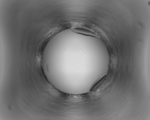 X0000110880329200907021502