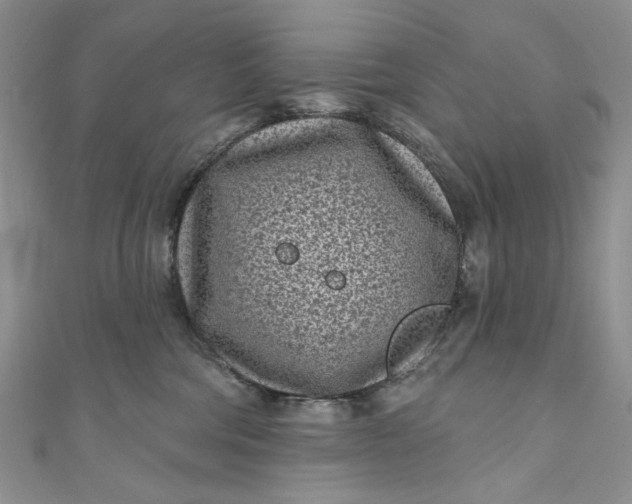 X0000110880330200907021502