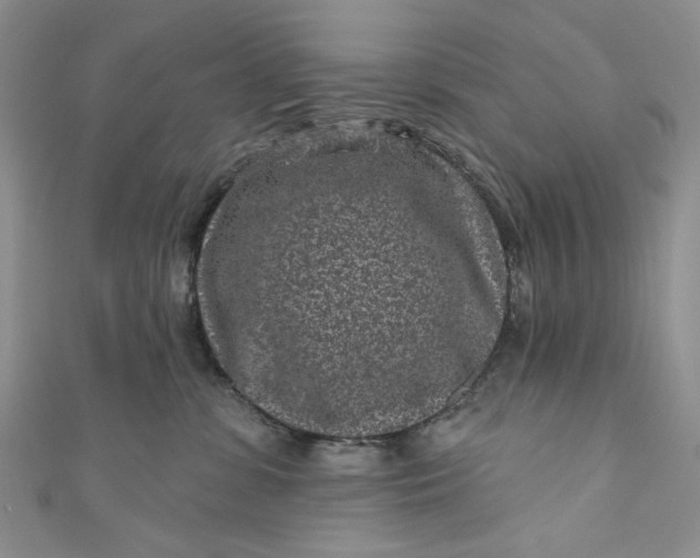 X0000110880331200907021502