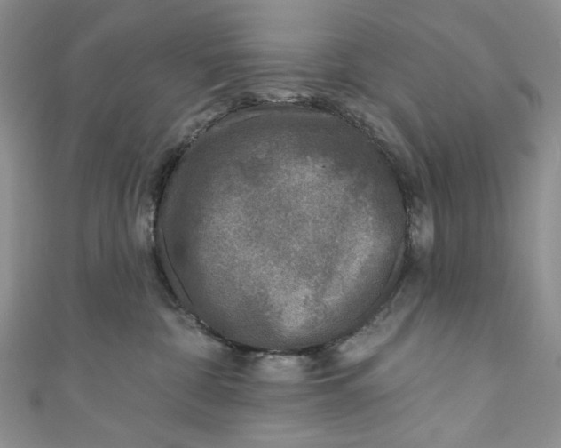 X0000110880332200907021502