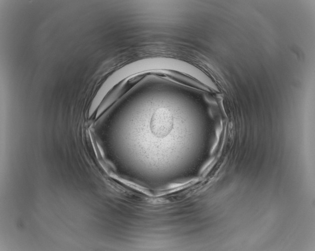 X0000110880333200907021502